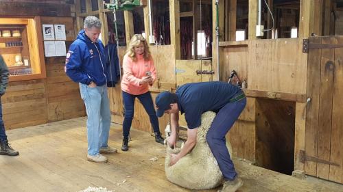 Scott and Gail watch Kurt's Shearing Demo