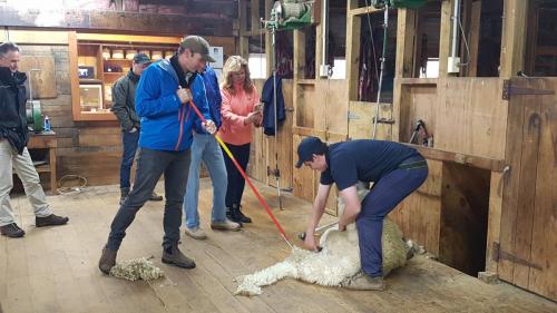 Putting James to work on the broom in the Palliser Ridge Woolshed