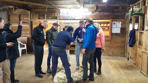 Kurt tells the group a little about the type of wool our sheep produce and what a great resource it is for insulating, clothing, with a number of other uses as well