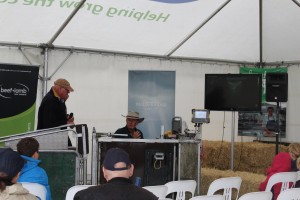 A Sheep Scanning Demonstration Between Culinary Events