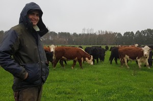 Kurt and Cattle